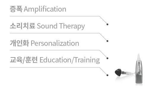 증폭, 소리치료,개인화, 교육/훈련
